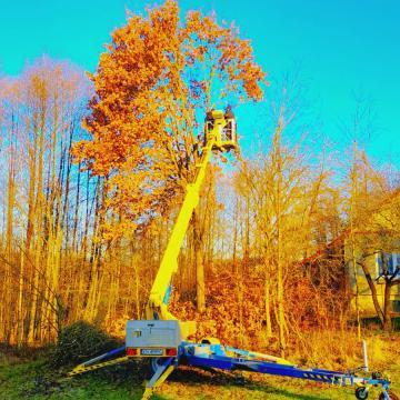 10000243841d6e26931219133324