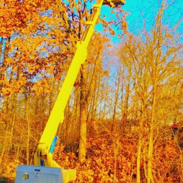 1000024389f9cb921b1219133324